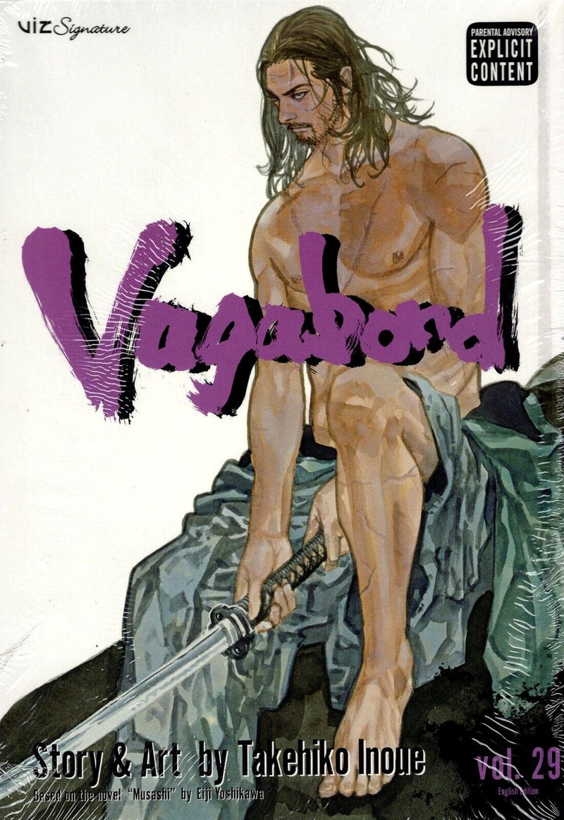 Vagabond GN Vol 29