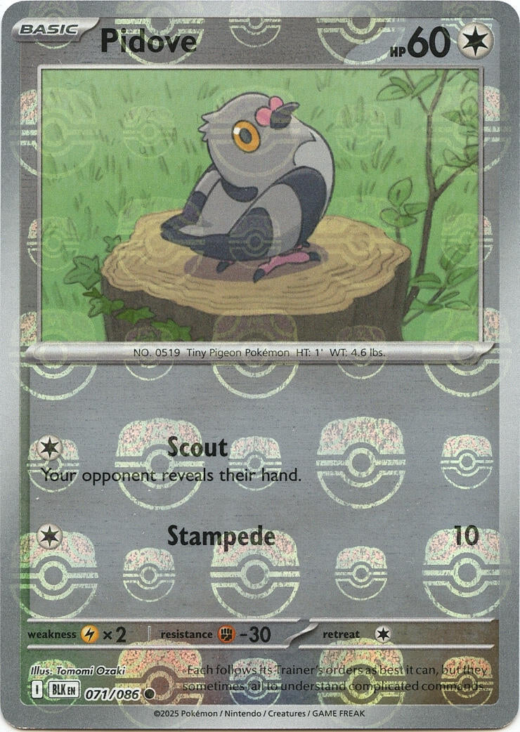 Pidove (071/086) (Master Ball Pattern) [Scarlet & Violet: Black Bolt]