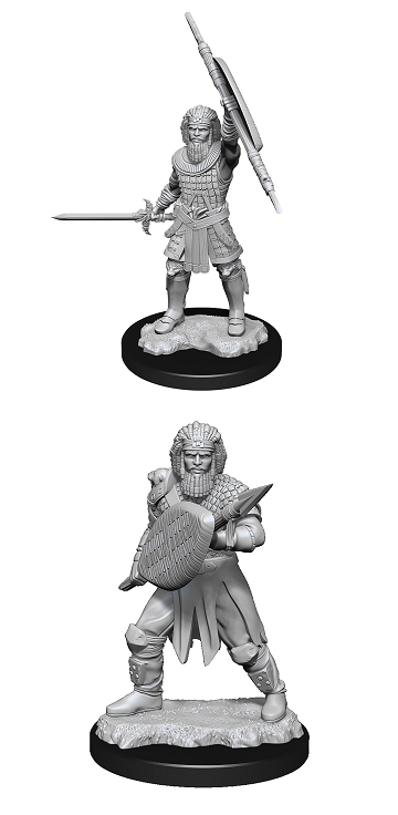 Nolzur's Marvelous Miniatures: Human Fighter Male