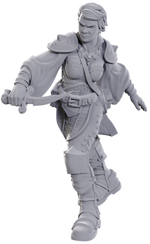 Nolzur's Marvelous Miniatures: Swashbuckler