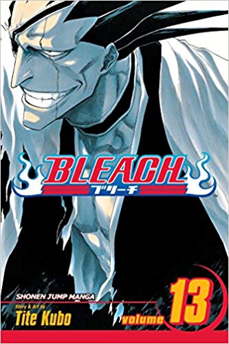 Bleach Vol 13