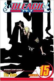 Bleach Vol 15