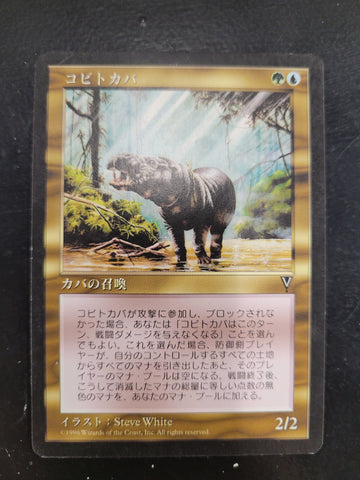 Pygmy Hippo [Visions] (Japanese)