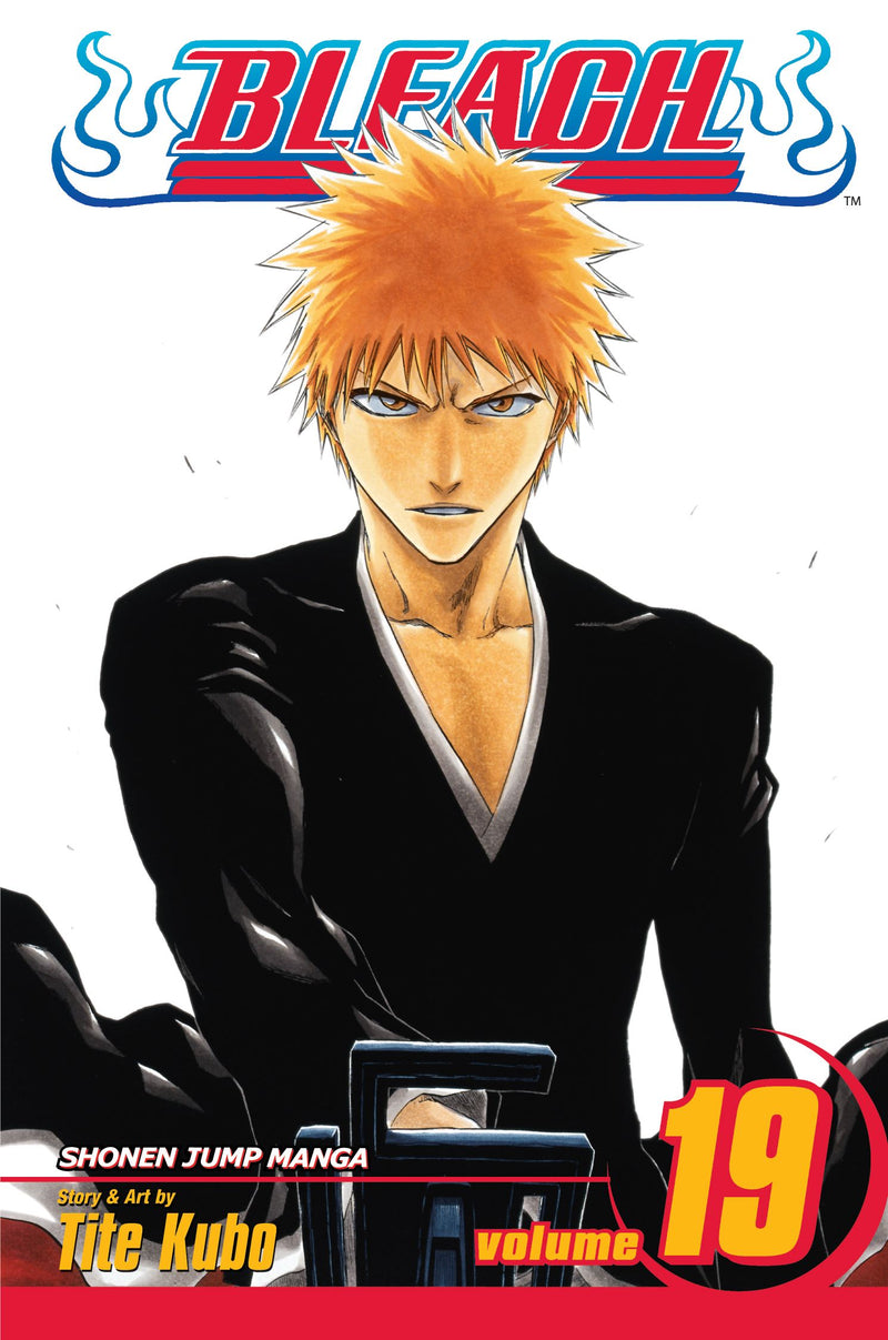 Bleach Vol 19