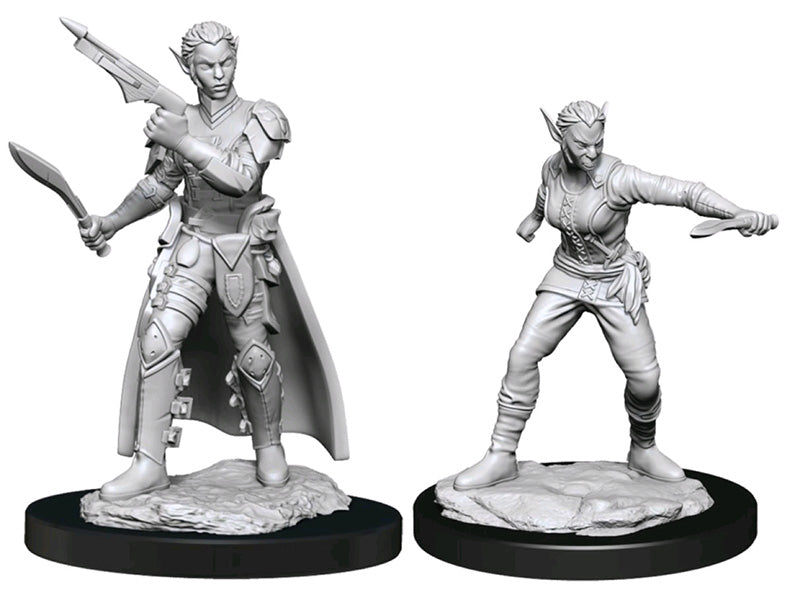 Nolzur's Marvelous Miniatures: Shifter Rogue Female