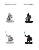 Nolzur's Marvelous Miniatures: Dwarf Female Paladin