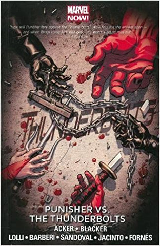 Thunderbolts TP Vol 05 Punisher vs The Thunderbolts