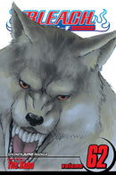 Bleach Vol 62