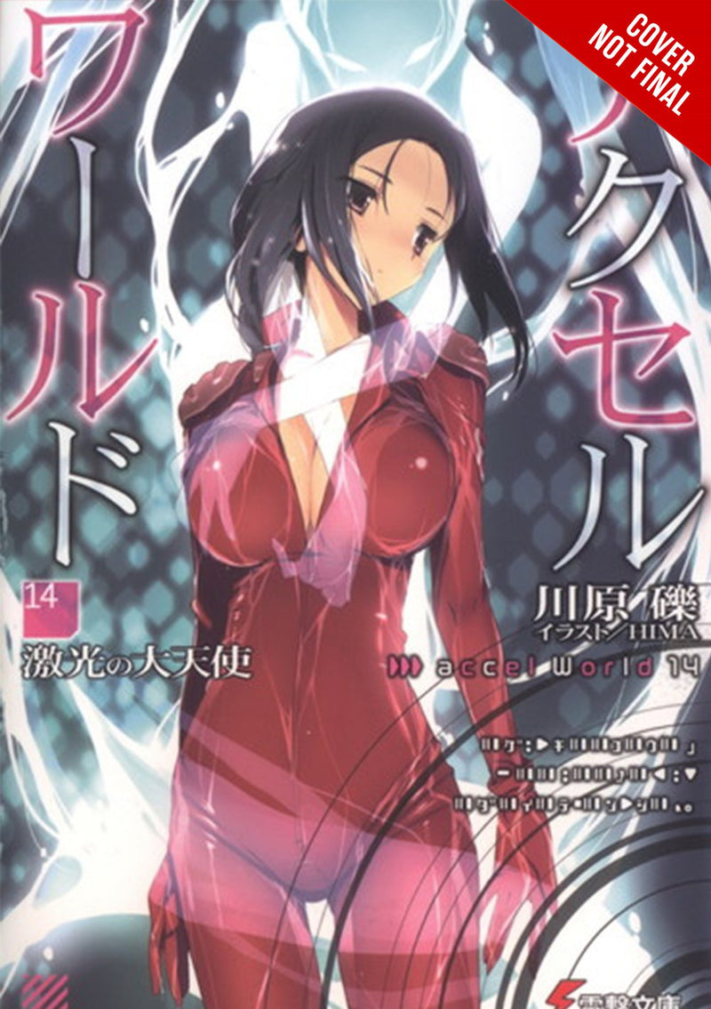 Accel World Light Novel Vol 14