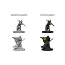 Nolzur's Marvelous Miniatures: Elf Male Druid
