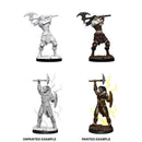Nolzur's Marvelous Miniatures: Female Goliath Barbarian