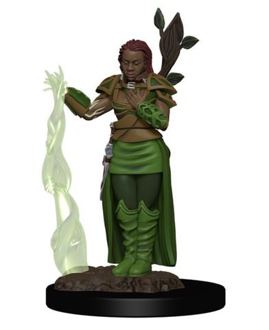 Icons of the Realms: Human Female Druid