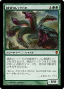 Hydra Omnivore [Conspiracy] (Japanese)