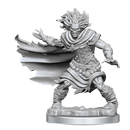 Dungeons & Dragons Frameworks: Wight