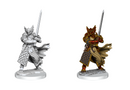 Dungeons & Dragons Frameworks: Dragonborn Paladin Male
