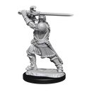 Nolzur's Marvelous Miniatures: Human Paladin Male