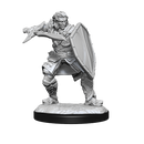Nolzur's Marvelous Miniatures: Human Paladin Male