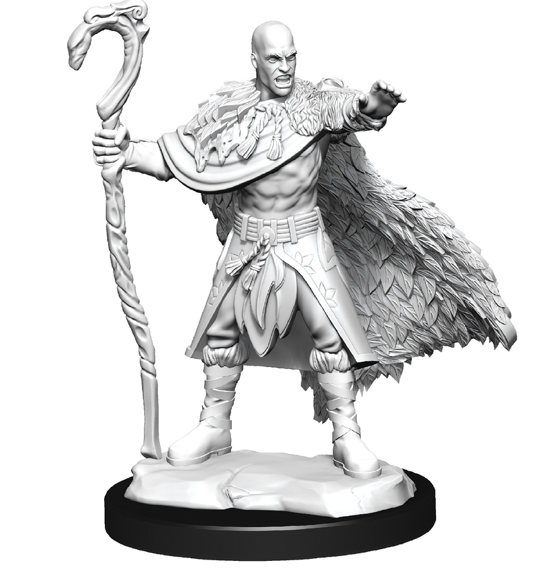 Nolzur's Marvelous Miniatures: Human Druid Male