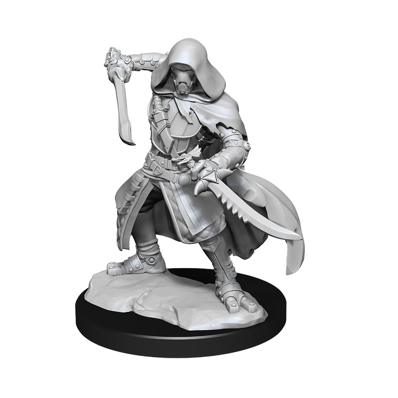 Nolzur's Marvelous Miniatures: Warforged Rogue