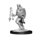 Nolzur's Marvelous Miniatures: Kalashtar Cleric Female