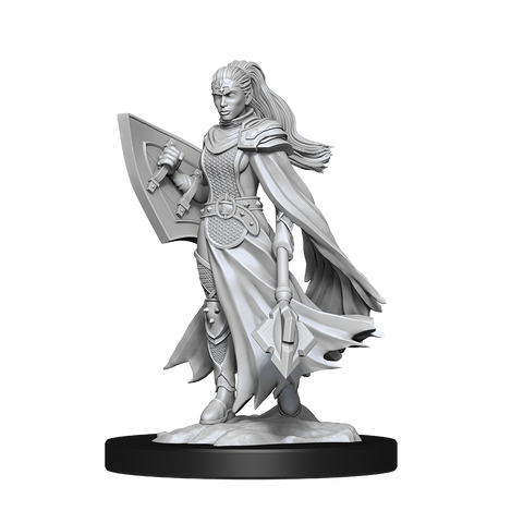Nolzur's Marvelous Miniatures: Kalashtar Cleric Female