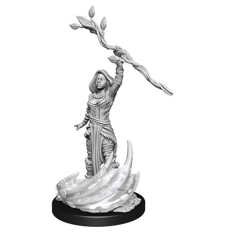 Nolzur's Marvelous Miniatures: Human Druid Female