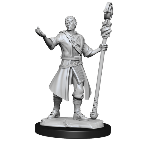 Nolzur's Marvelous Miniatures: Half-Elf Wizard Male