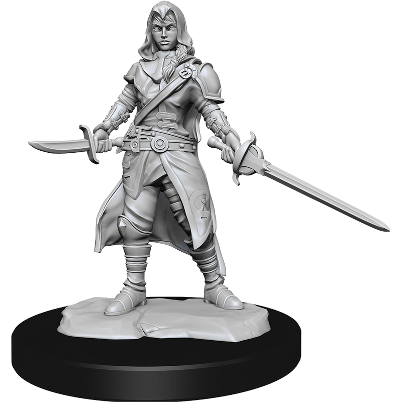 Nolzur's Marvelous Miniatures: Half-Elf Rogue Female
