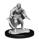 Nolzur's Marvelous Miniatures: Half-Elf Rogue Female