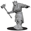 Nolzur's Marvelous Miniatures: Fire Giant