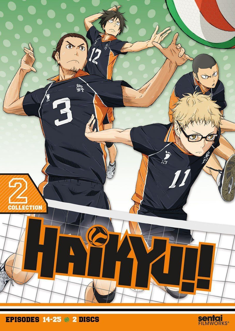 Haikyu!! DVD Collection 2