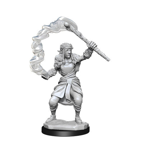 Nolzur's Marvelous Miniatures: Firbolg Druid Female