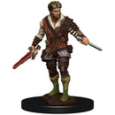 Icons of the Realms: Male Human Rogue
